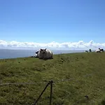 Zuhause Am ビューズム