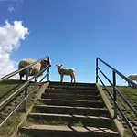 Zuhause Am ビューズム