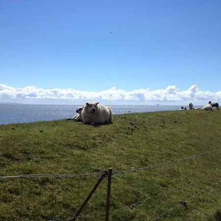 Zuhause Am 比苏姆