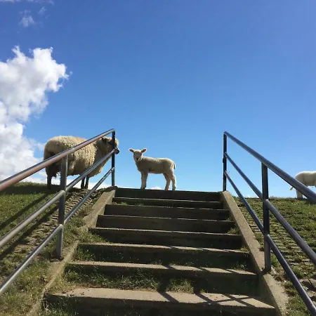 Zuhause Am 比苏姆