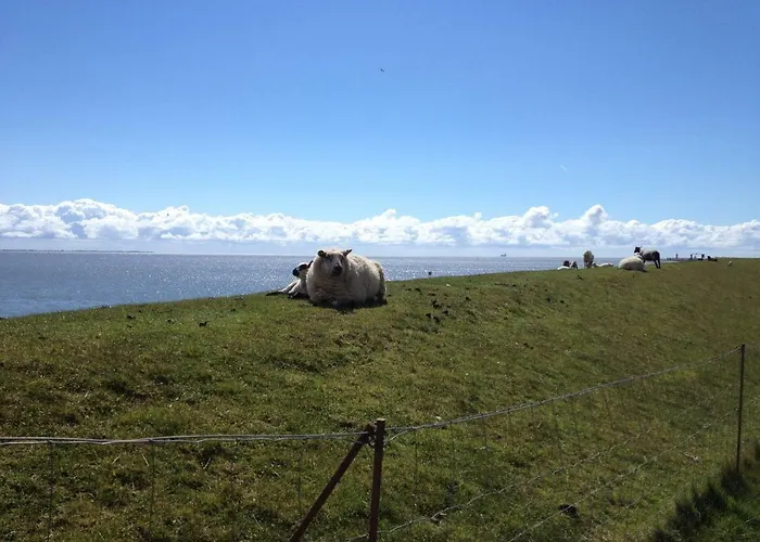 Zuhause Am Büsum